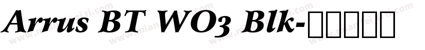 Arrus BT WO3 Blk字体转换